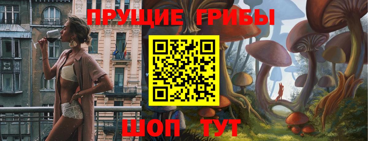 Галлюциногенные грибы Psilocybine cubensis Самара
