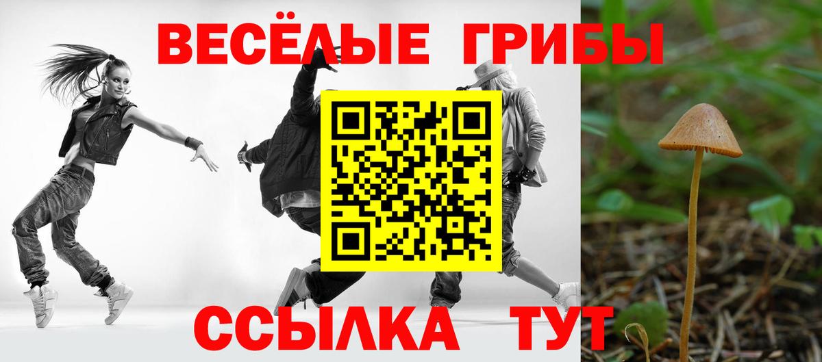 Галлюциногенные грибы Psilocybine cubensis  Вход с VPN  Псилоцибиновые грибы мицелий  наркотики  Самара 